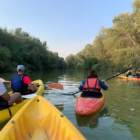 Готель La Dehesa Experiences Adamuz Екстер'єр фото